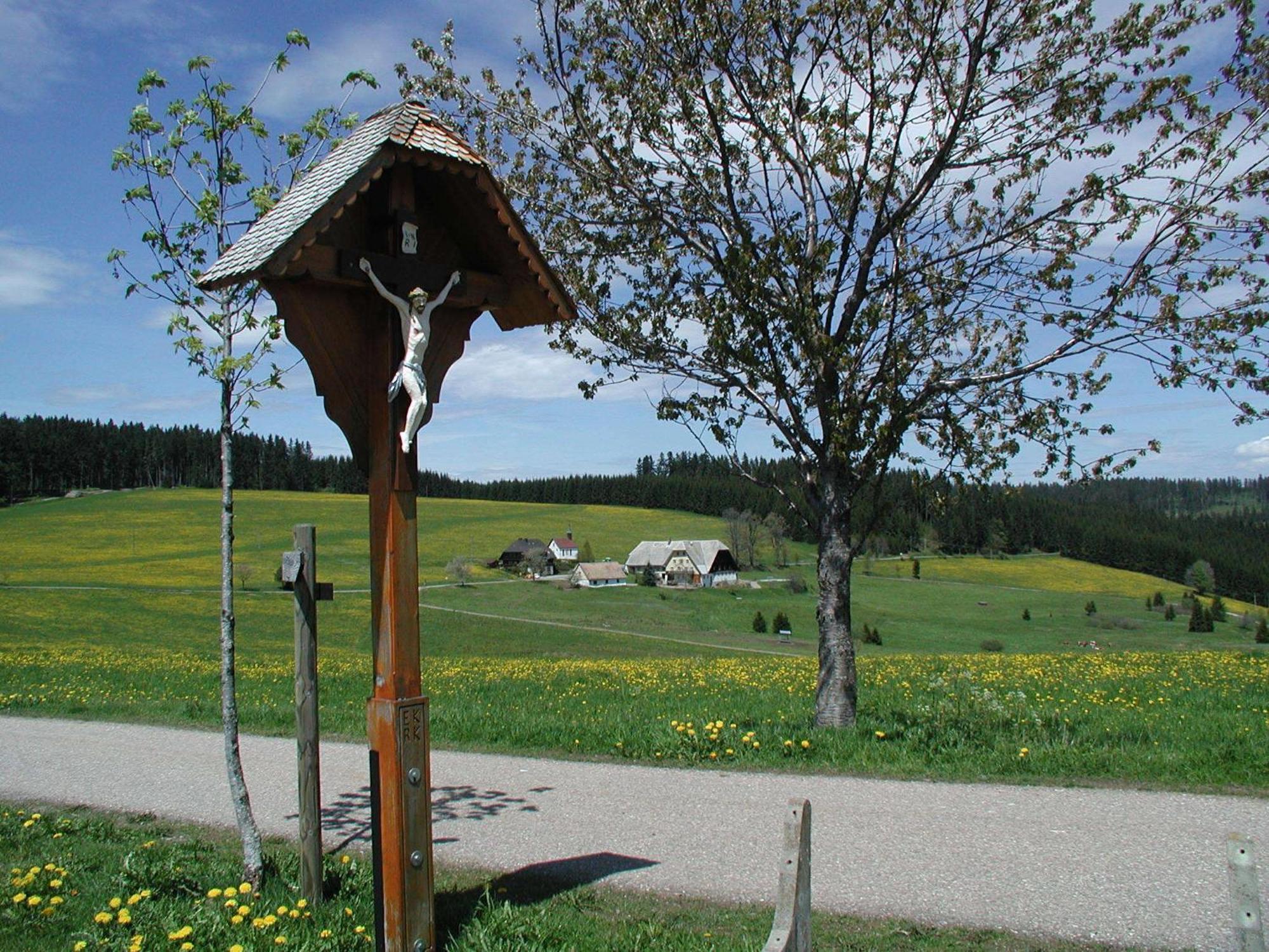 Cafe-Pension Feldbergblick Тітізе-Нойштадт Екстер'єр фото